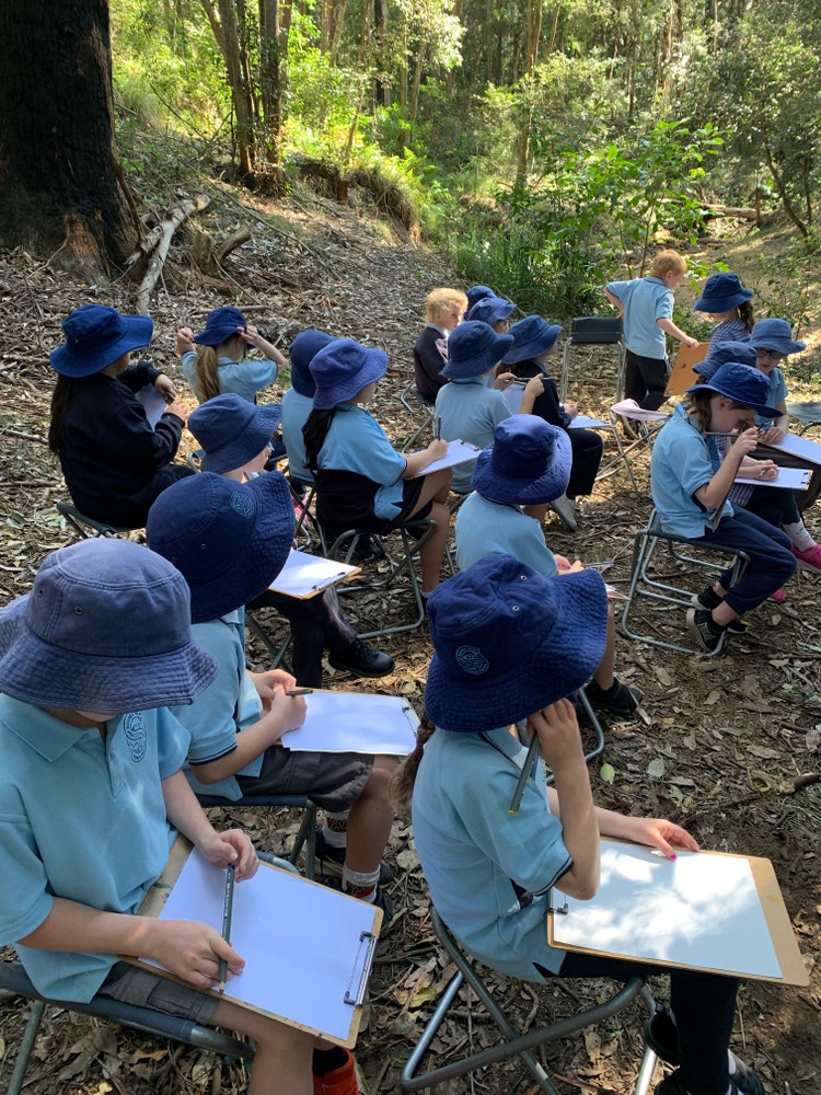 es1 and stage 1 visit to bundanon art gallery in the bush