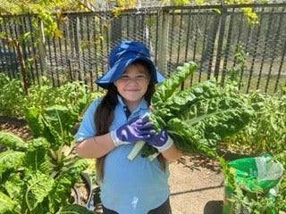 garden club - student holding bunch of spinach in the veg garden
